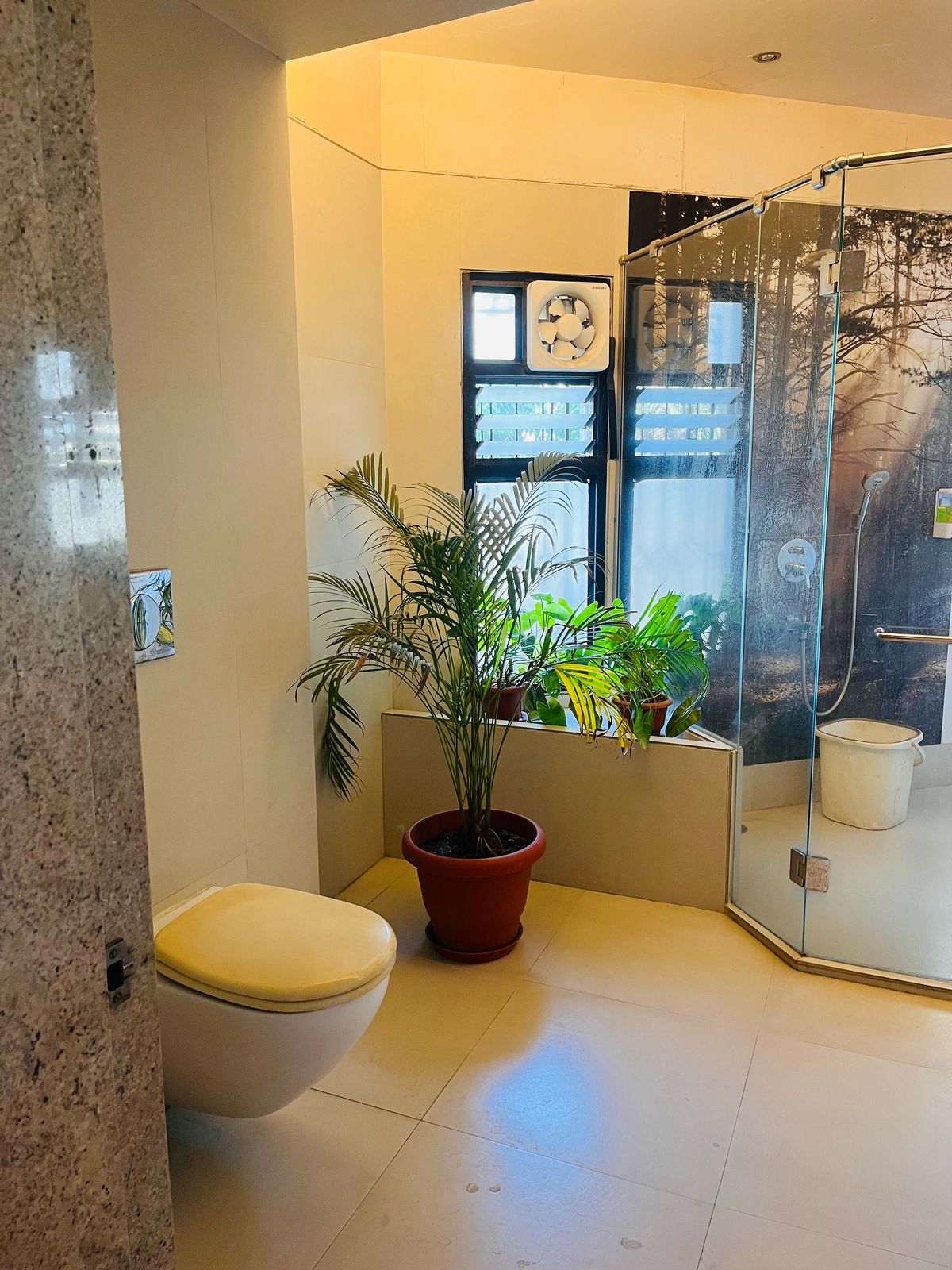 Rose Room — view 4