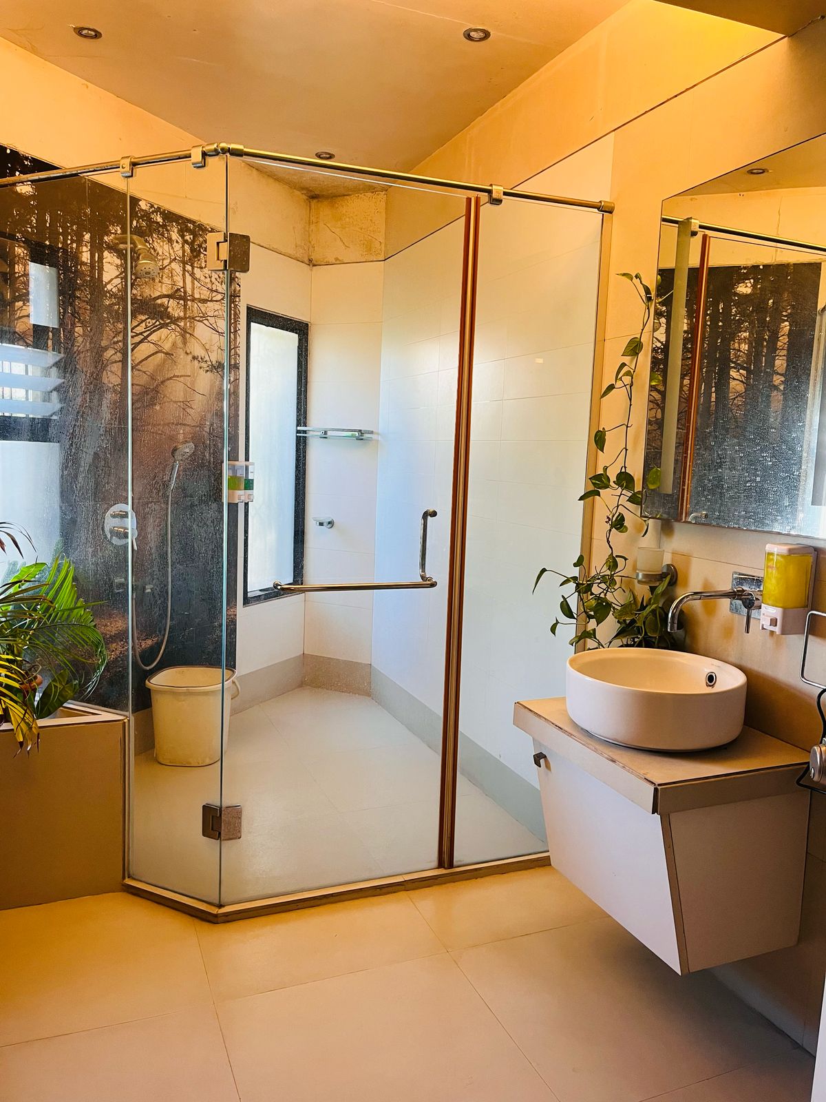 Rose Room — view 6